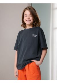 Sinsay - Koszulka oversize ze zwierzęcym nadrukiem na plecach - szary. Kolor: szary. Wzór: nadruk, motyw zwierzęcy #1