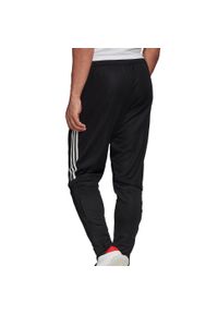 Adidas - Condivo 20 Spodnie Treningowe 475. Kolor: wielokolorowy, czarny, biały. Sport: piłka nożna