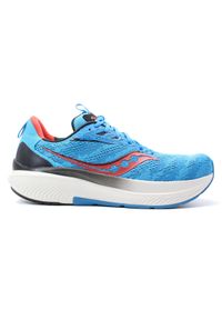 Buty do biegania męskie Saucony Echelon 9. Kolor: niebieski, wielokolorowy, biały