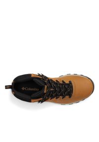 columbia - Columbia Buty Newton Ridge Plus Ii 1594731291. Kolor: czarny, brązowy, wielokolorowy