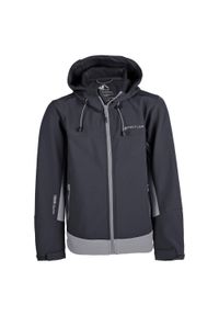 Dziecięca kurtka wodoodporna Whistler Ryder W-Pro 8000. Kolor: czarny, szary, wielokolorowy. Materiał: softshell. Styl: sportowy