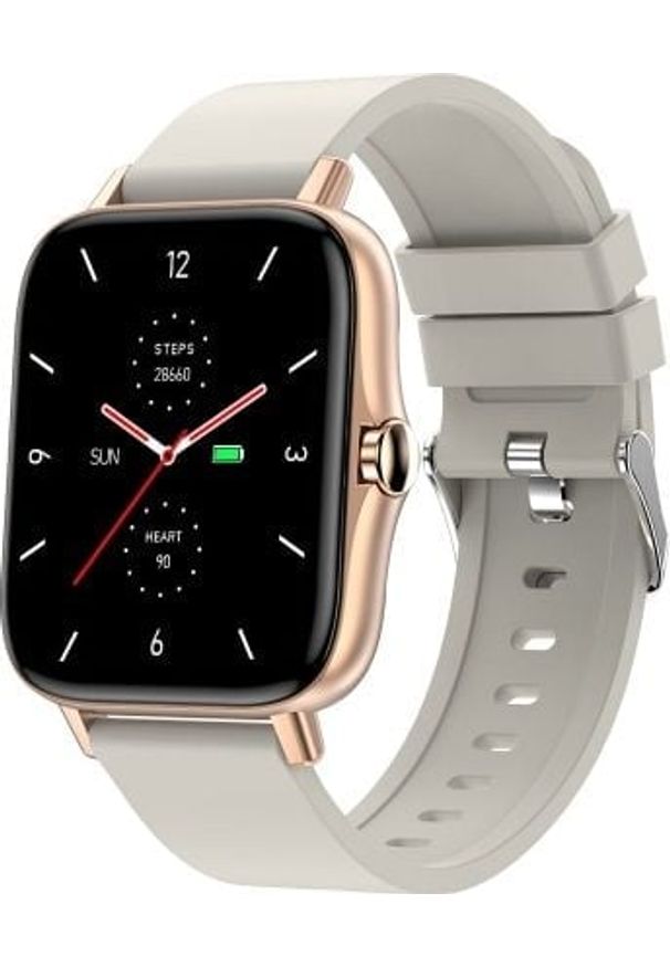 Smartwatch Garett Electronics Sport Mode RT Biały. Rodzaj zegarka: smartwatch. Kolor: biały. Styl: sportowy