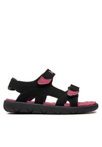 Timberland Sandały Perkins Row 2 Strap Sandal TB0A43EAEDJ1 Czarny. Kolor: czarny #1