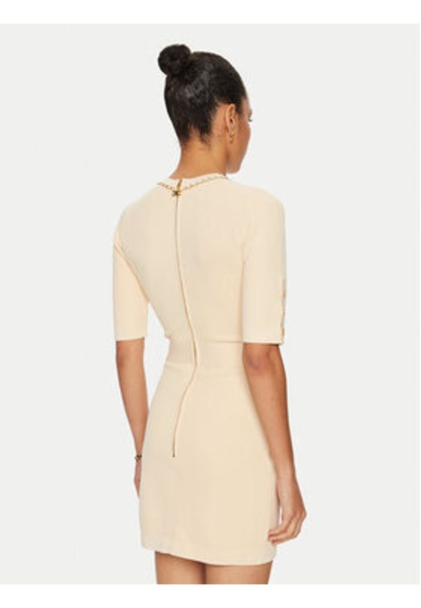 Elisabetta Franchi Sukienka dzianinowa AM-92B-46E2 Beżowy Regular Fit. Kolor: beżowy. Materiał: wiskoza