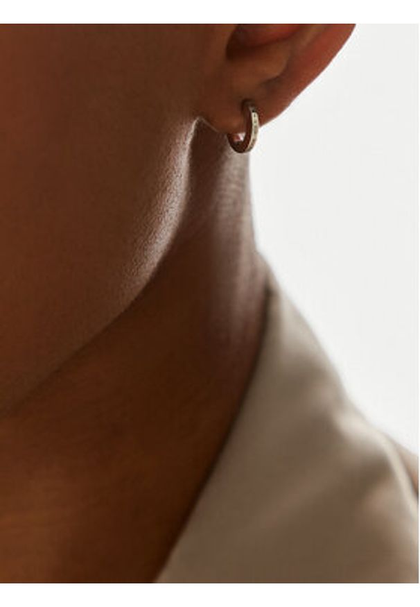 Daniel Wellington Kolczyki Elan DW00400147 Srebrny. Materiał: metalowe. Kolor: srebrny