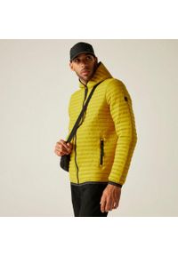 Regatta - Kurtka męska przejściowa Rigain. Kolor: niebieski. Materiał: puch, syntetyk. Sport: turystyka piesza #1