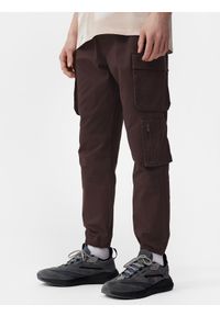 4f - Spodnie casual cargo męskie. Okazja: na co dzień. Kolor: brązowy. Materiał: bawełna, tkanina. Styl: casual