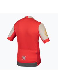 ENDURA - Koszulka rowerowa męska Endura FS260 Print S/S. Kolor: czerwony. Wzór: nadruk. Sport: kolarstwo