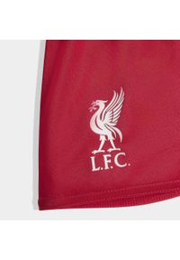 Adidas - Zestaw Liverpool FC 25/26 Home Baby Kids. Kolor: czerwony. Sezon: lato. Sport: piłka nożna