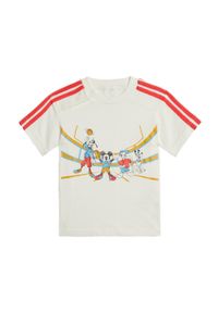 Adidas - Koszulka adidas x Disney Mickey Mouse. Kolor: czerwony, biały, wielokolorowy. Materiał: bawełna. Wzór: motyw z bajki. Sport: joga i pilates