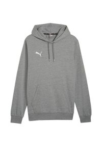 Puma - Bluza Męska. Kolor: szary