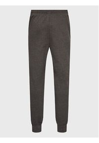 EVERLAST - Everlast Spodnie dresowe 810542-60 Szary Regular Fit. Kolor: szary. Materiał: bawełna #3