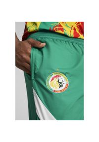 Puma - Męskie spodnie przedmeczowe Senegal 2025 PUMA Sport Green White. Kolor: biały, wielokolorowy, zielony