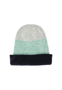 Czapka Whistler Valeo. Kolor: szary, fioletowy, wielokolorowy, zielony. Materiał: materiał. Sezon: zima. Styl: sportowy, elegancki #1