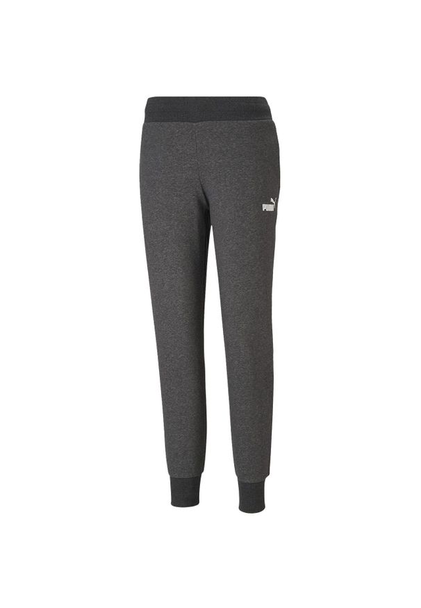 Spodnie fitness damskie Puma ESS Sweatpants FL. Kolor: szary. Sport: fitness