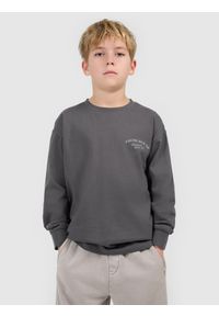 4f - 4F Longsleeve loose z nadrukiem chłopięcy - szary 140 (9-10 lat). Okazja: na spacer, na uczelnię, na co dzień. Kolor: szary. Materiał: bawełna, dzianina. Długość rękawa: długi rękaw. Długość: długie. Wzór: nadruk. Sezon: lato. Styl: casual #2