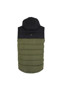 Regatta - Męski Ogrzewacz Do Ciała Aldthorn. Kolor: zielony, czarny, wielokolorowy. Styl: sportowy. Sport: turystyka piesza #2
