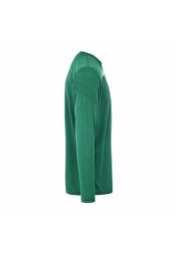 Jersey Kappa Dovol. Kolor: zielony. Materiał: jersey. Długość rękawa: długi rękaw. Sport: fitness
