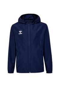 Niezbędna bluza dresowa dla dzieci Hummel Aw. Kolor: niebieski. Materiał: dresówka #1