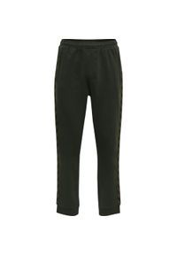 Spodnie do biegania Hummel Lmove Classics. Kolor: zielony. Sport: fitness