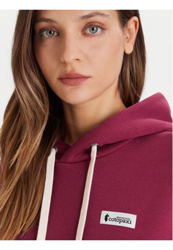 Cotopaxi Bluza Llama Patch Pullover Hoodie F24474W1160 Fioletowy Regular Fit. Kolor: fioletowy. Materiał: bawełna