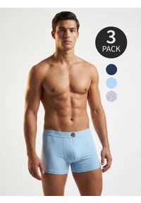 Sinsay - Bawełniane bokserki Long 3 pack - szary. Kolor: szary. Materiał: bawełna