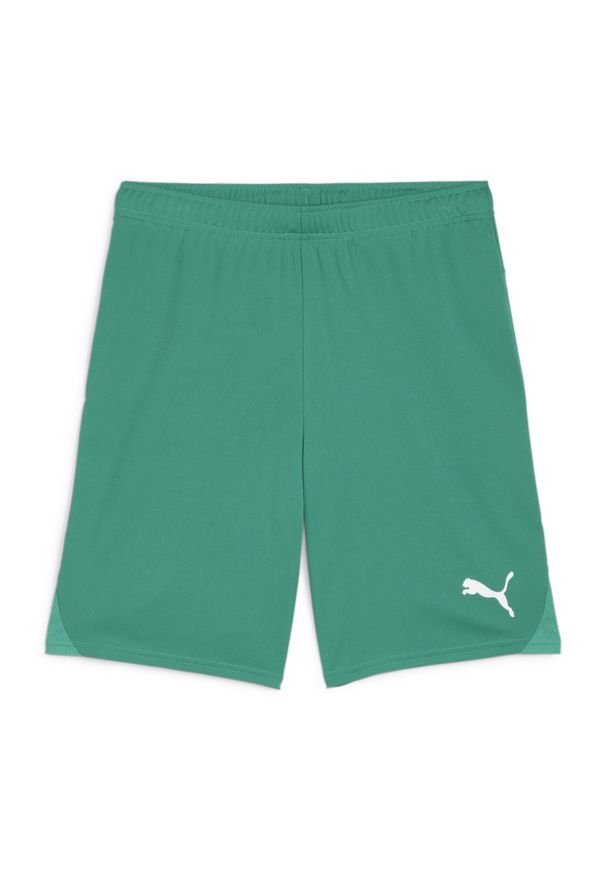 Szorty Puma TeamGoal. Kolor: zielony, biały, wielokolorowy. Materiał: materiał. Sport: piłka nożna