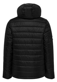 Parka dla dzieci Hummel Hummel North Quilted. Kolor: wielokolorowy, szary, czarny, brązowy. Materiał: tkanina
