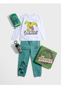 Sinsay - Spodnie dresowe Hulk - zielony. Kolor: zielony. Materiał: dresówka