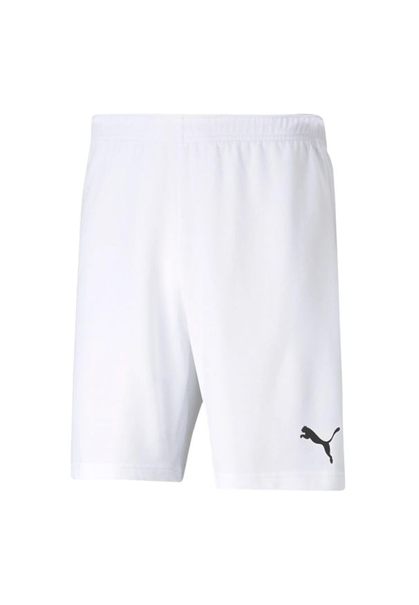 Puma - Męskie Spodenki TeamRISE. Kolor: biały. Sport: turystyka piesza