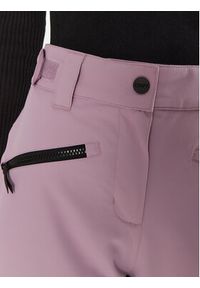 Colourwear Spodnie narciarskie Cork Pant 7010322 Różowy Regular Fit. Kolor: różowy. Materiał: syntetyk. Sport: narciarstwo #6