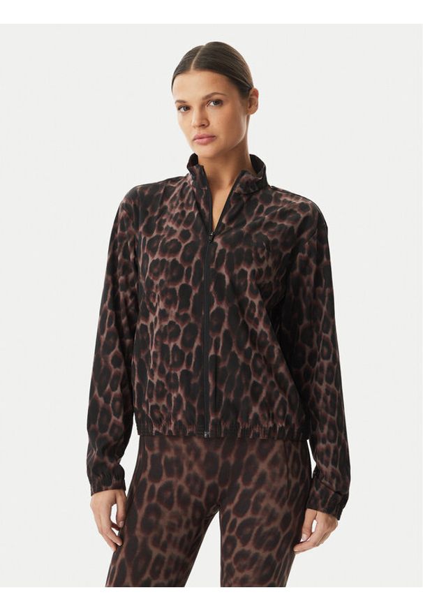 Adidas - adidas Bluza Workout Essentials Leopard Woven KD7612 Brązowy Regular Fit. Kolor: brązowy. Materiał: syntetyk