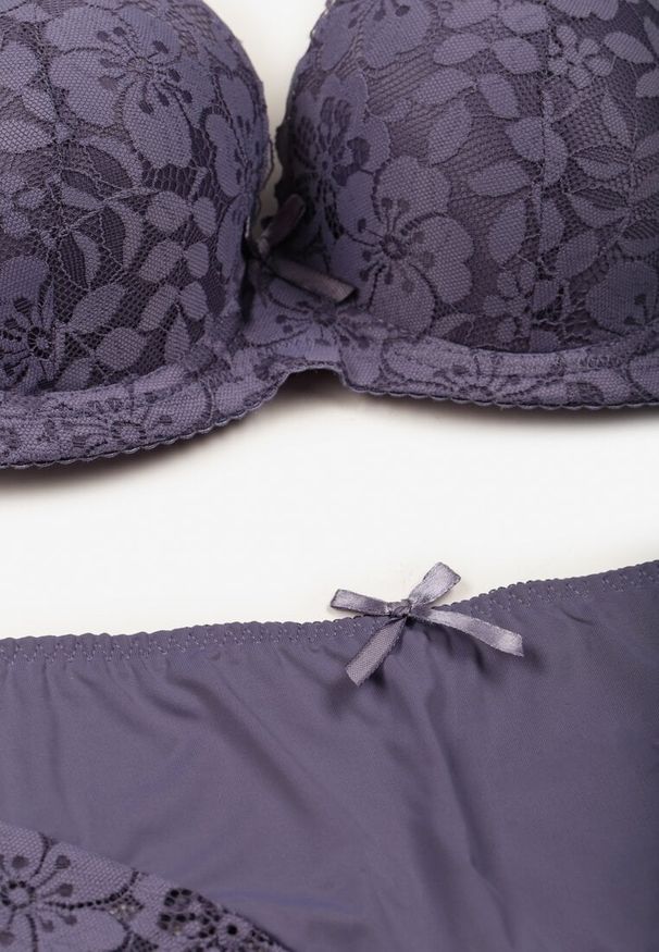 Renee - Fioletowy Koronkowy Komplet Biustonosz i Majtki Figi w Klasycznym Stylu Ezirene. Kolor: fioletowy. Materiał: koronka. Wzór: aplikacja, koronka