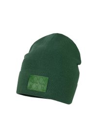 Jamiks czapka dziecięca Jeronimo kolor zielony z cienkiej dzianiny. Kolor: zielony. Materiał: dzianina