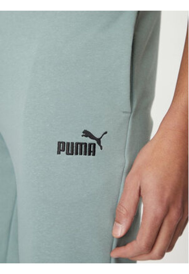 Puma Spodnie dresowe Ess No. 1 Logo 682609 Zielony Regular Fit. Kolor: zielony. Materiał: bawełna, syntetyk