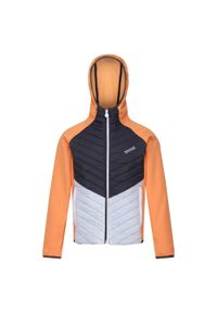 Regatta - Kurtka Dziecięca/dziecięca Kielder Hybrid VII Padded Jacket. Kolor: pomarańczowy, wielokolorowy, szary #1