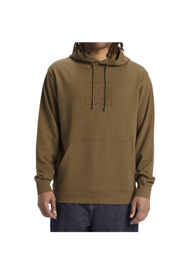 Bluza z kapturem męskie DC Shoes Highland. Typ kołnierza: kaptur. Kolor: brązowy. Materiał: bawełna, materiał. Sport: skateboard