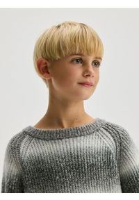 Reserved - Strukturalny sweter w paski - jasnoszary. Kolor: szary. Materiał: bawełna, dzianina. Wzór: paski #1