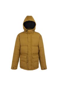 Kurtka z kapturem Regatta Falkner. Typ kołnierza: kaptur. Kolor: brązowy. Materiał: puch. Sport: turystyka piesza #1