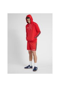 Bluza do piłki ręcznej męska Hummel hml AUTHENTIC Poly. Kolor: wielokolorowy, czerwony, różowy. Sport: fitness #1