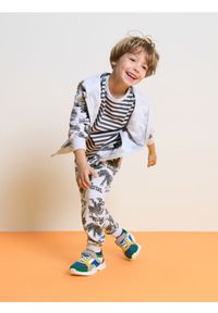 Sinsay - Spodnie dresowe ze ściągaczami w dinozaury - szary. Kolor: szary. Materiał: dresówka