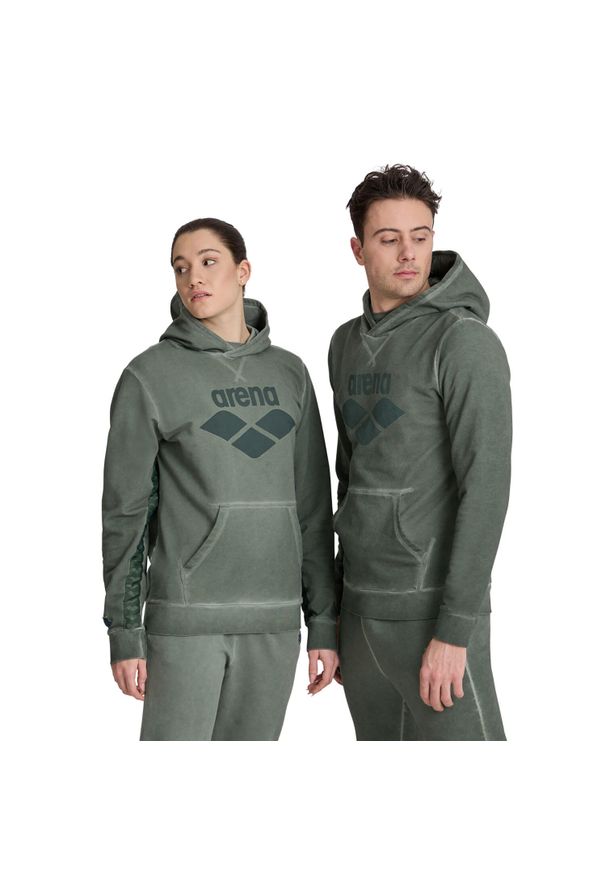 Arena - Bluza sportowa Icons Hoodie Sweat z kapturem. Typ kołnierza: kaptur. Kolor: zielony