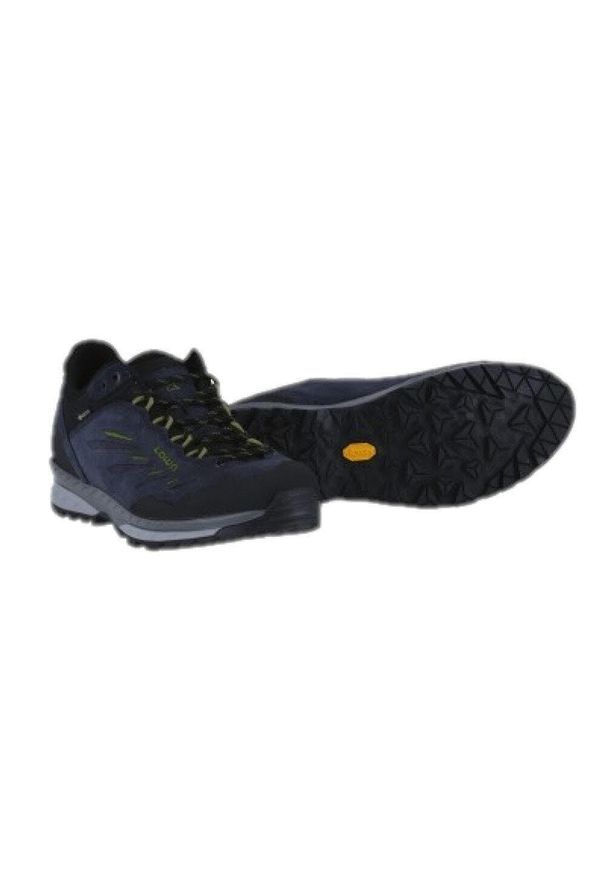 Buty trekkingowe męskie Lowa Delago Low Gtx. Kolor: niebieski. Materiał: skóra. Szerokość cholewki: normalna. Sport: turystyka piesza