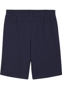 Spodenki sportowe męskie Puma teamGOAL Casuals. Kolor: niebieski, czarny