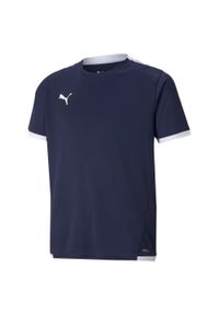 Koszulka dziecięca Puma Team Liga. Kolor: niebieski, wielokolorowy, biały. Sport: piłka nożna #1
