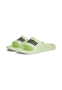 Klapki męskie Puma Divecat V2 Lite. Zapięcie: bez zapięcia. Kolor: zielony, żółty. Materiał: syntetyk, materiał. Szerokość cholewki: normalna. Sport: turystyka piesza, pływanie