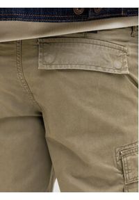 Jack & Jones Szorty materiałowe Cole Frank 12291369 Zielony Regular Fit. Kolor: zielony. Materiał: bawełna #4