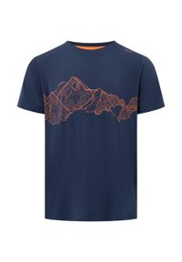 Koszulka Viking Lenta. Kolor: niebieski, wielokolorowy, różowy. Sport: turystyka piesza #1