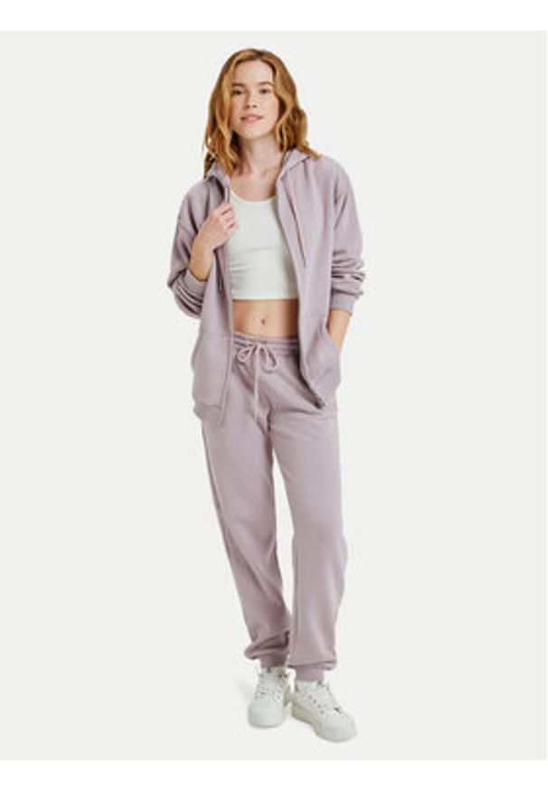 Roxy Spodnie dresowe Surf Stoked Pant Brushed ERJFB03491 Fioletowy Regular Fit. Kolor: fioletowy. Materiał: syntetyk