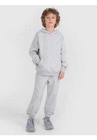 4f - 4F Spodnie dresowe joggery chłopięce - szare 134 (8-9 lat). Okazja: na co dzień. Kolor: szary. Materiał: dresówka. Wzór: ze splotem, gładki. Sezon: lato. Styl: sportowy, casual